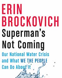 Cover image of Erin Brockovich's Superman's Not Coming