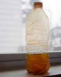 Water sample in a bottle from Flint, Michigan
