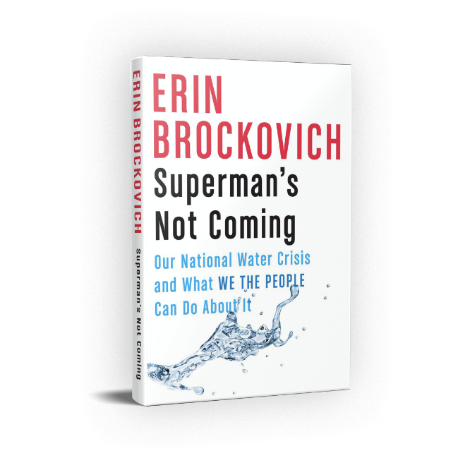 Erin Brockovich new book Superman's Not Coming